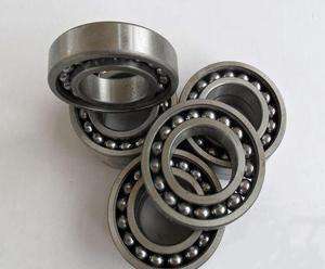 306-2RZ Bearing Free Sample